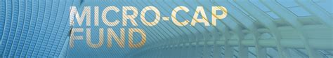 Hancock Horizon Microcap Fund Institutional Clas (HMIIX).